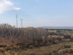 -御道口草原森林风景区