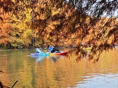 -上海海湾国家森林公园