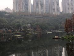-重庆彩云湖湿地公园