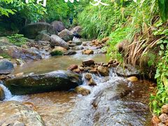 -梧桐山风景名胜区
