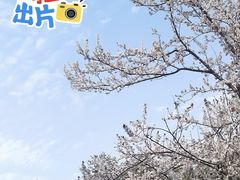-范蠡湖公园