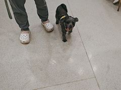 -宠颐生宠物医院·心肾内科·猫专科诊疗中心宠巢店