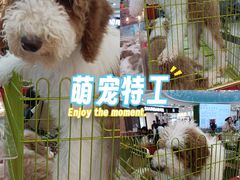 -万达广场(沈阳铁西店)