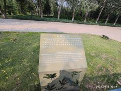 -北坞公园