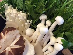 -烹然四季椰子鸡火锅(团结湖总店)