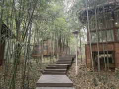 -洪湖悦兮半岛国际温泉度假村