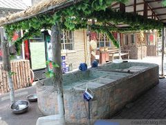 鱼池-胖姐渔村(中源大道店)