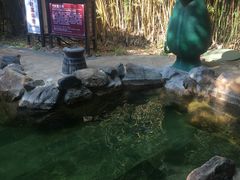 -森波拉火山温泉