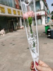 -莎蔓莉莎美容会所