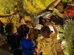 -恐龙探索乐园(磁器口店)