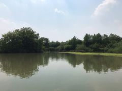 -中国湿地博物馆