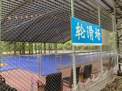 -上海共青森林公园