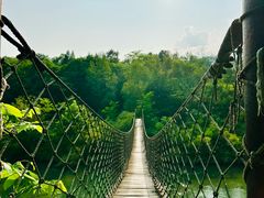 -黄椅山火山森林公园