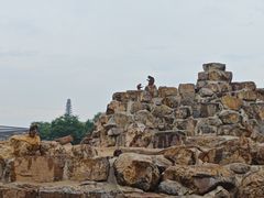 -太原动物园