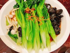 白灼菌菇菜心-新白鹿餐厅(爱琴海购物中心店)