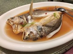 酒炖野生大黄鱼-温州王朝大酒店-自助餐厅