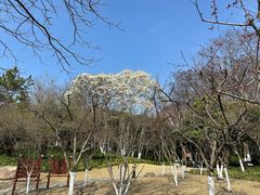 -上海方塔园