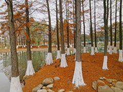 -白塘生态植物园