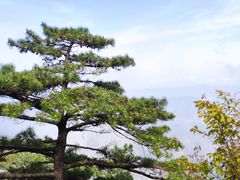 -萍乡武功山风景名胜区