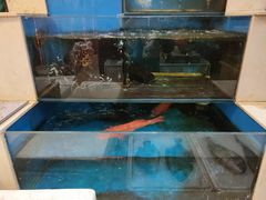-小铜锣湾海鲜家常菜馆(河西店)