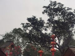 -青城甲(青城山店)