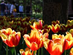 -长春公园(普阳街道)