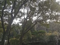 -宁波市保国寺古建筑博物馆