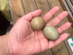 -盐城丹顶鹤湿地生态旅游区