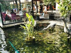 -鹅公村·国家非遗传承(荔湾店)