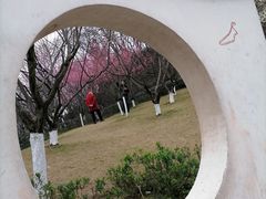 -重庆彩云湖湿地公园