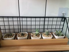 -蜜蜂小象·榴莲千层蛋糕(时代汇11栋店)