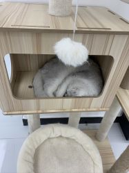 -熙.Hair 丨专注女子中长发丨