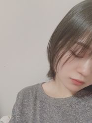 -大象造型