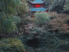 -岳麓山风景名胜区