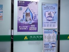 -半岛宠物医院24小时(科华中路店)