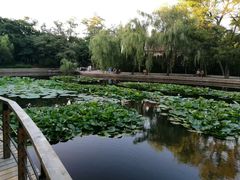 -八大关景区