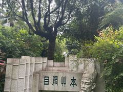 -广州神农草堂中医药博物馆