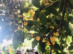 -杭州城北体育公园