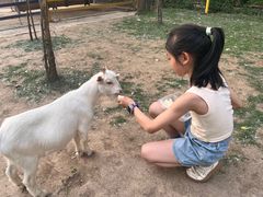 -合肥滨湖国家森林公园