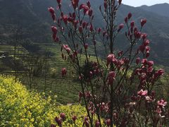 -北京上方山国家森林公园