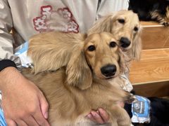 -和它·交个朋友·狗咖猫咖(爱琴海店)