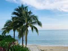 -日落吧·海景咖啡厅·餐酒吧·鸡尾酒·下午茶·乐队表演·浪漫夕阳·三亚文华东方酒店