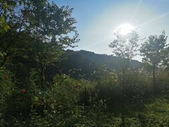 -云溪植物园
