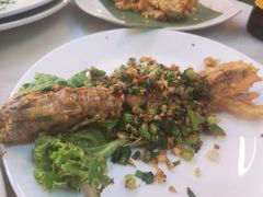 -大树下海鲜饭店