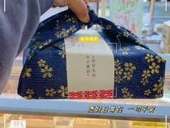 -鹏欣水游城
