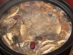 -蘑统田下·野生菌火锅