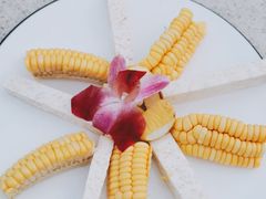 -墨脱石锅椰子鸡•香草鸭•东山羊(大东海店)