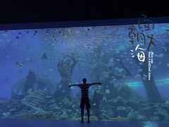 -波塞冬海底世界