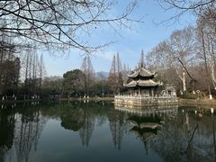 -习家池