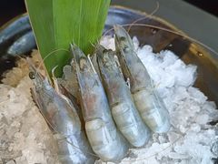 -牛武士寿喜烧·和牛火锅自助(全球首店)